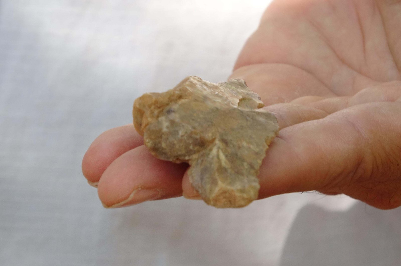 Kuzeybatı Türkiye’de bulunan antik aletler Paleolitik göçü vurguluyor