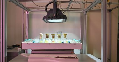 Microalgae species samples under examination for converting carbon dioxide into oxygen through sensors, Türkiye, Sep. 04, 2023. (AA Photo)