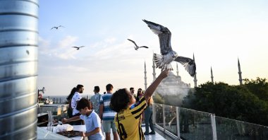 A young tourist feeds a seagull on a terrace in the historic Sultanahmet area with a backdrop of the Blue Mosque, Istanbul, Türkiye, Aug. 21, 2023. (IHA Photo)