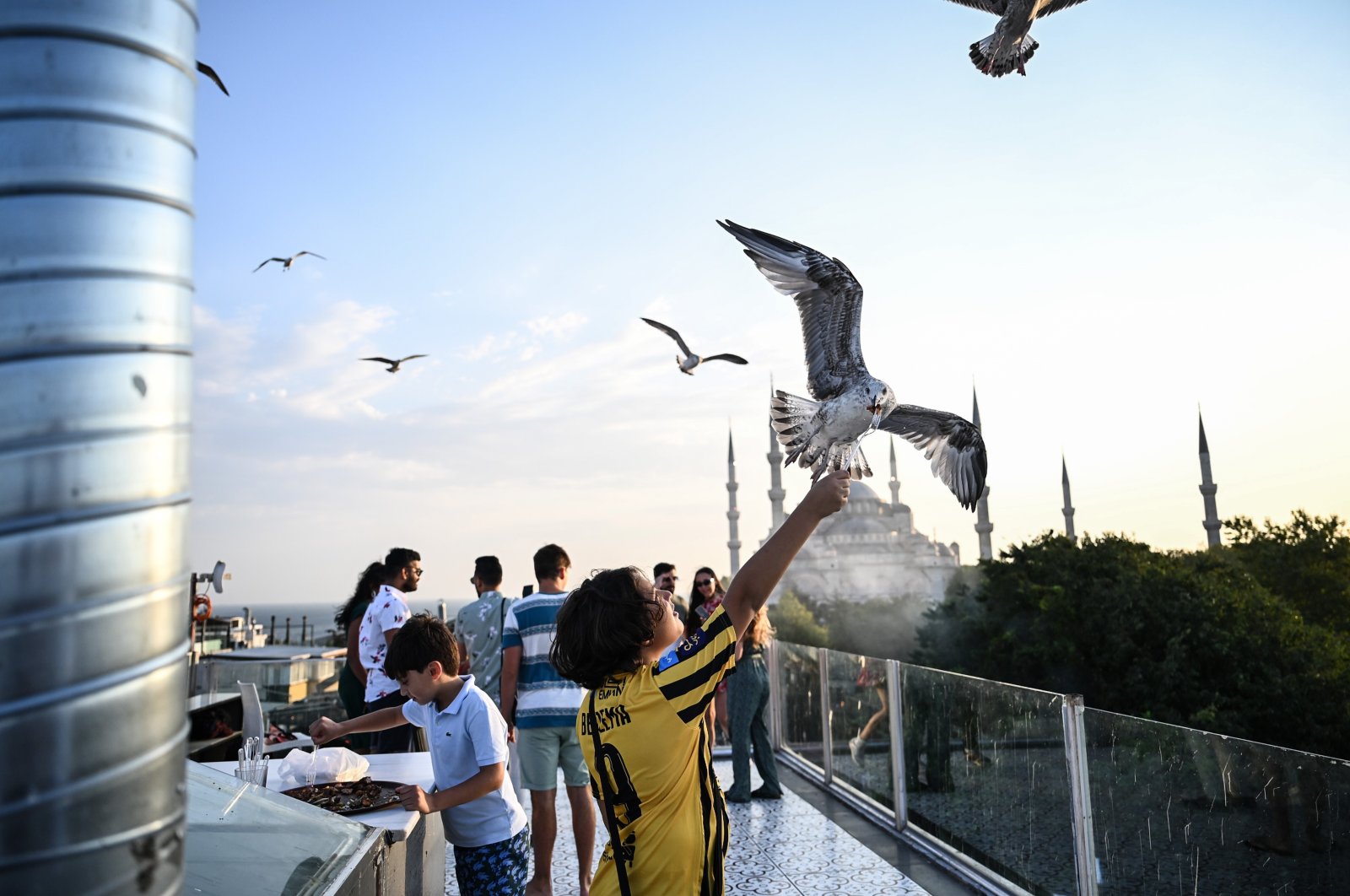 A young tourist feeds a seagull on a terrace in the historic Sultanahmet area with a backdrop of the Blue Mosque, Istanbul, Türkiye, Aug. 21, 2023. (IHA Photo)
