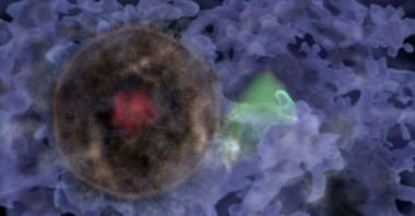 A 3D representation of the galaxy &quot;Bubble,&quot; colored in brown. with the position of the Milky Way, with a small white dot located outside the bubble on the right, in a white cloud. The blue wisps represent the &quot;cosmic web,&quot; the filaments of galaxies that make up other large structures in the Universe, such as Laniakea. (Animea Studio / CEA Handout / AFP Photo)