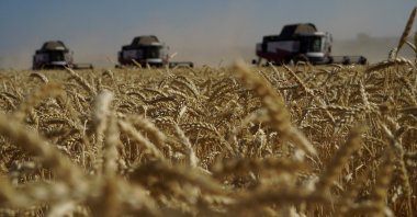 Farmers harvest wheat in the southern Russian Rostov region, July 7, 2022. (AFP Photo)