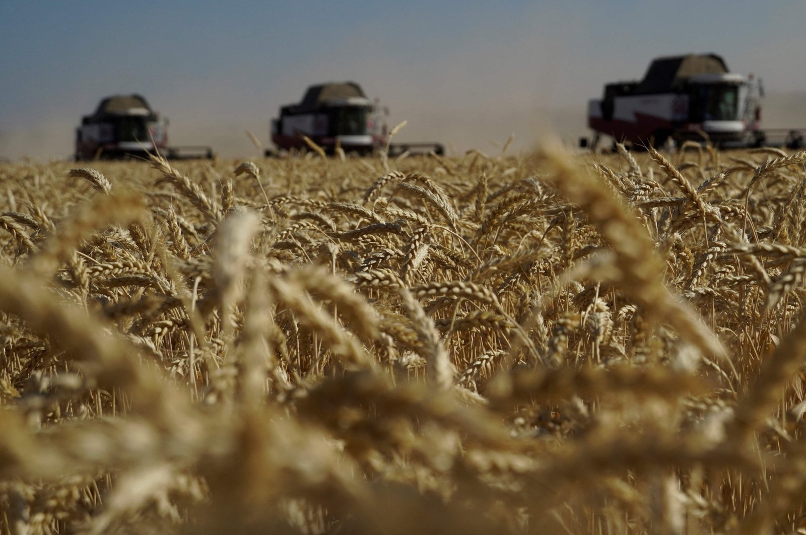 Farmers harvest wheat in the southern Russian Rostov region, July 7, 2022. (AFP Photo)