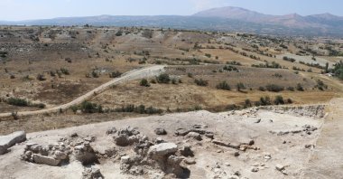 In the excavations at Aşağıseyit Höyük, located in the Çal district, remains of a grape seed estimated to be 3,500 years old were discovered, Denizli, Türkiye, Sept. 8, 2023. (AA Photo)