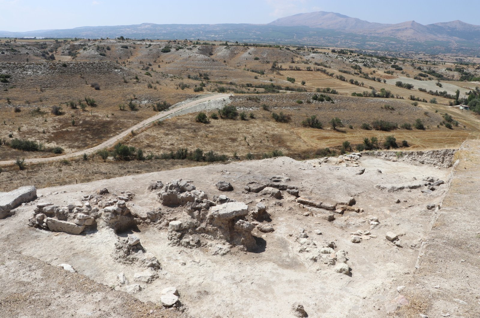 In the excavations at Aşağıseyit Höyük, located in the Çal district, remains of a grape seed estimated to be 3,500 years old were discovered, Denizli, Türkiye, Sept. 8, 2023. (AA Photo)
