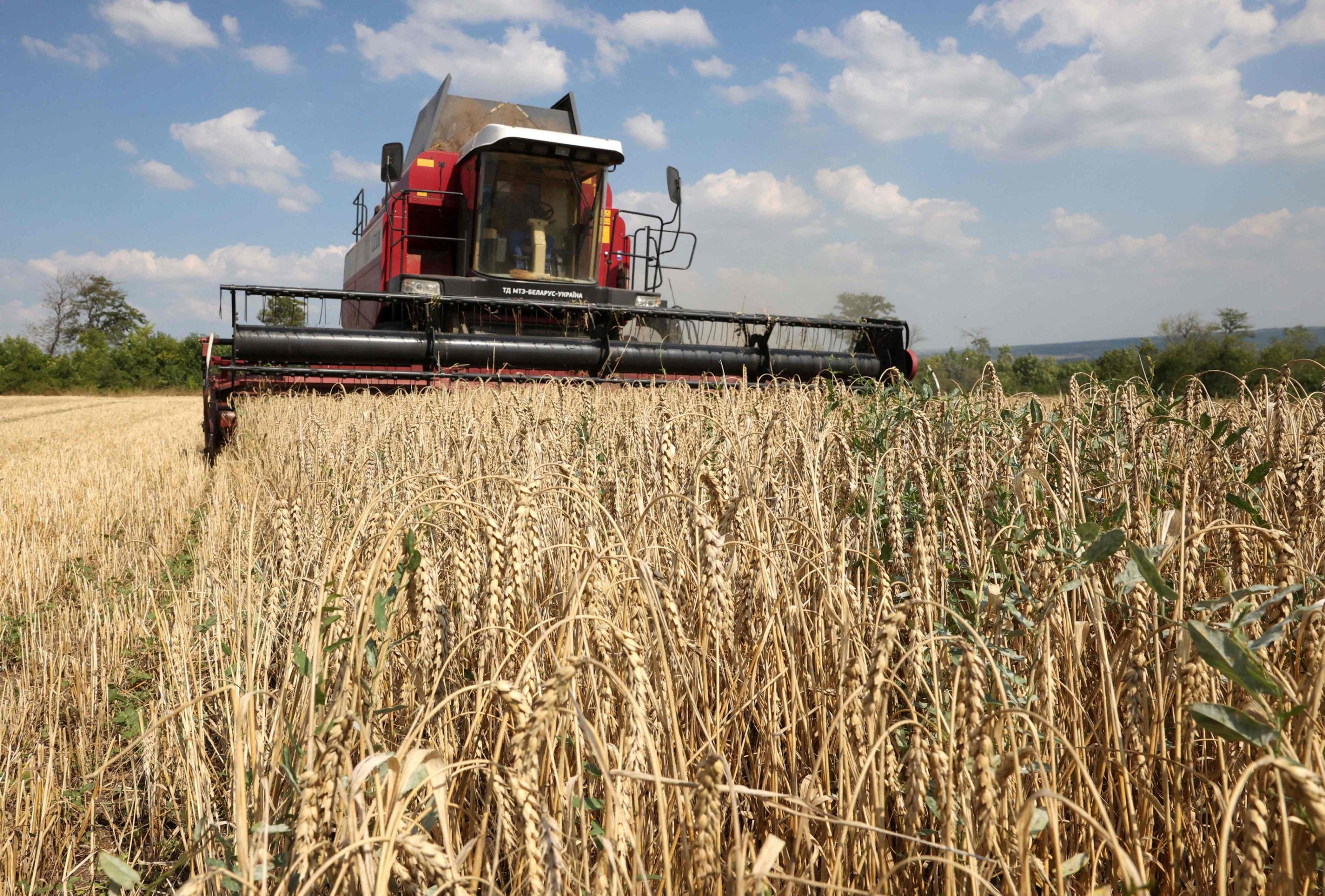 Bulgaria decides to end Ukrainian grain import ban | Daily Sabah