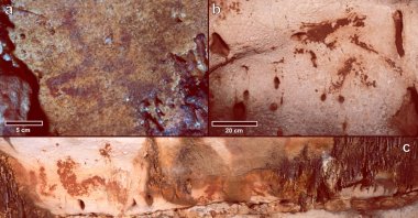 Painted aurochs head; horse head made with clay; panel with several motifs painted with clay, including animals and signs (some partly covered by calcite layers). (Photo courtesy of Cambridge University Press)