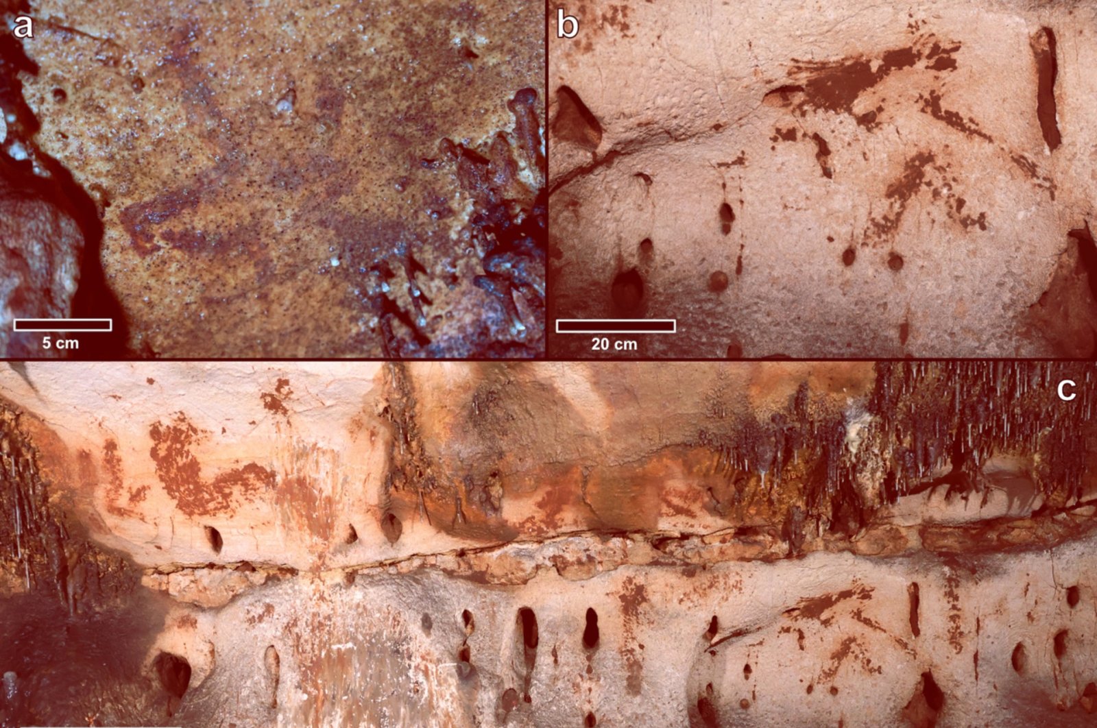 Painted aurochs head; horse head made with clay; panel with several motifs painted with clay, including animals and signs (some partly covered by calcite layers). (Photo courtesy of Cambridge University Press)