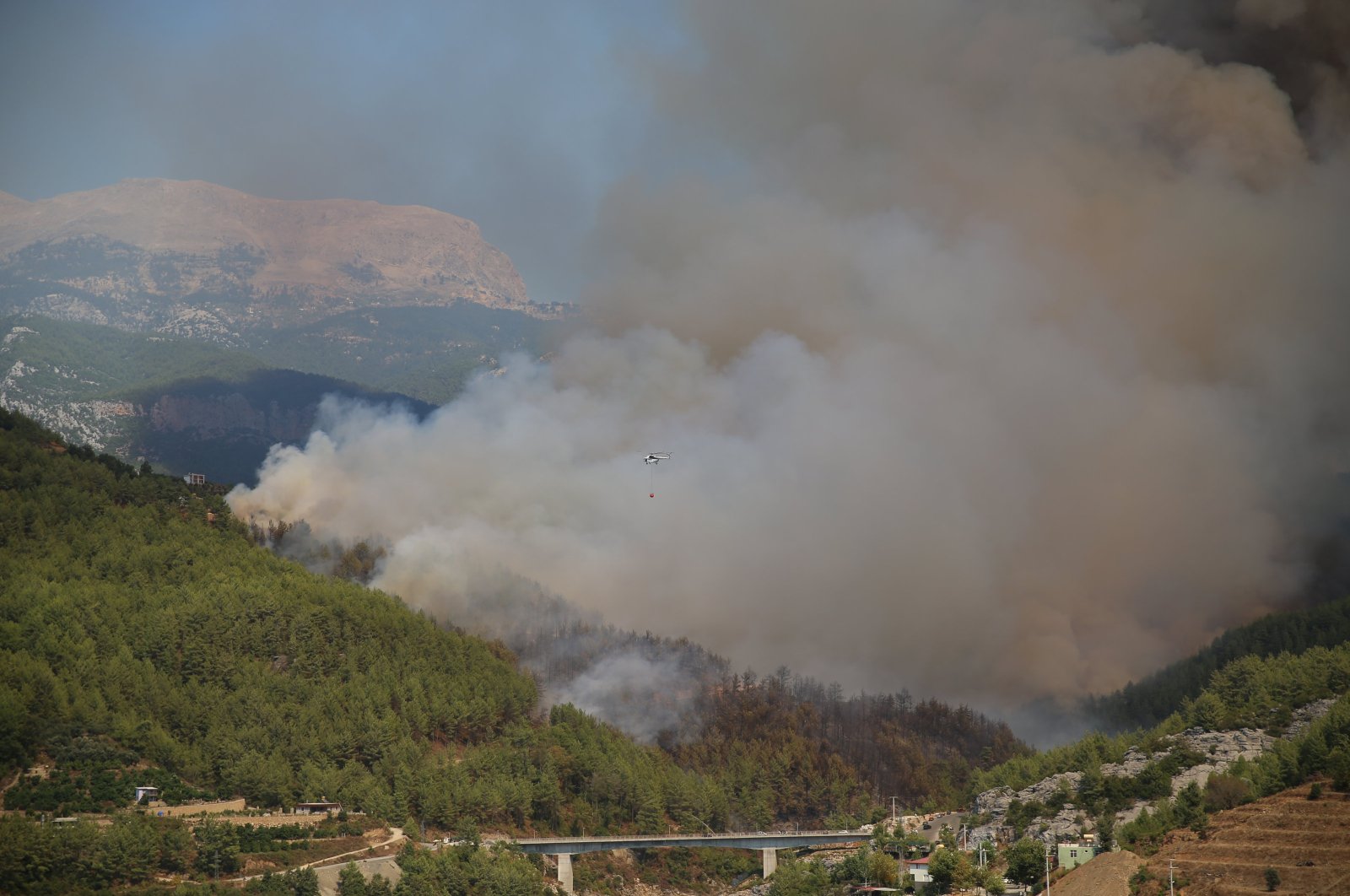 Authorities battle raging wildfire in Türkiye’s Alanya