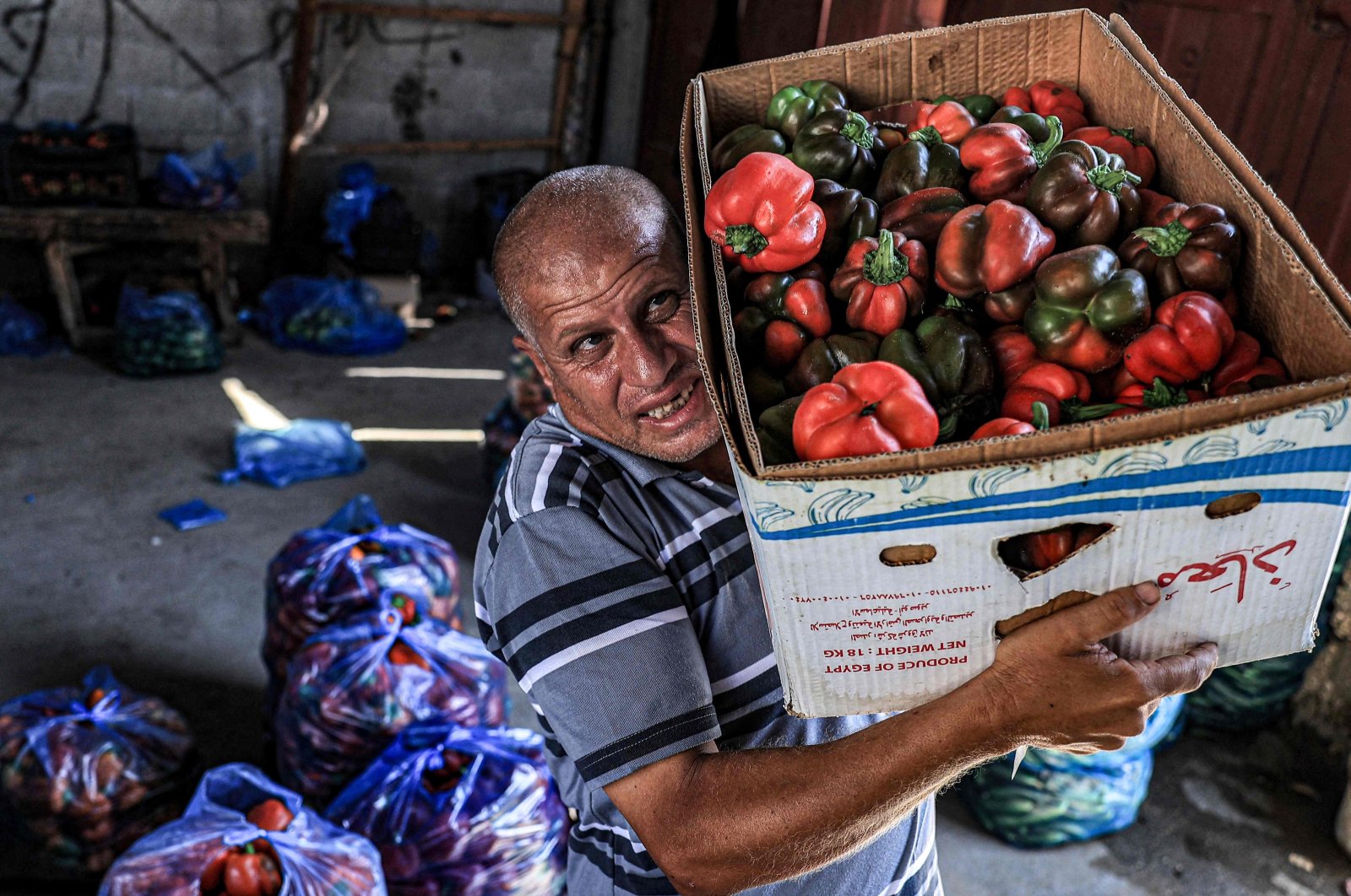 A Palestinian worker unloads a box of produce that was originally headed to Israel via the Kerem Shalom commercial border crossing, at a warehouse in Rafah in the southern Gaza Strip, Palestine, Sept. 5, 2023. (AFP Photo)