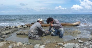 Researchers excavate the 6 million-year-old fossil remains of a sea turtle of the genus Lepidochelys near La Pina along the Caribbean coast of Panama in this handout photograph taken in 2015 and obtained by Reuters on Sept. 28, 2023. (Carlos de Gracia/Handout via Reuters)
