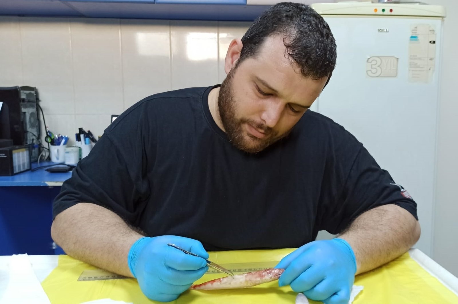 Red Sea's fish species spotted in Türkiye's Mediterranean - Vimarsana News