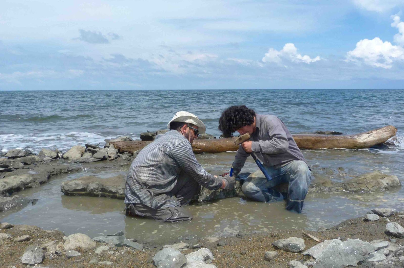 Researchers excavate the 6 million-year-old fossil remains of a sea turtle of the genus Lepidochelys near La Pina along the Caribbean coast of Panama in this handout photograph taken in 2015 and obtained by Reuters on Sept. 28, 2023. (Carlos de Gracia/Handout via Reuters)