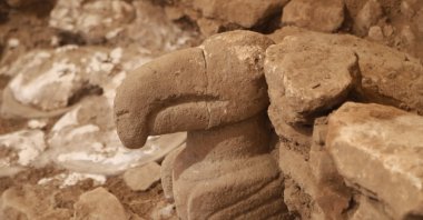 A vulture statue was discovered in Türkiye&#039;s Neolithic settlement Karahantepe, Şanlıurfa, Türkiye, Sept. 30, 2023. (IHA Photo)