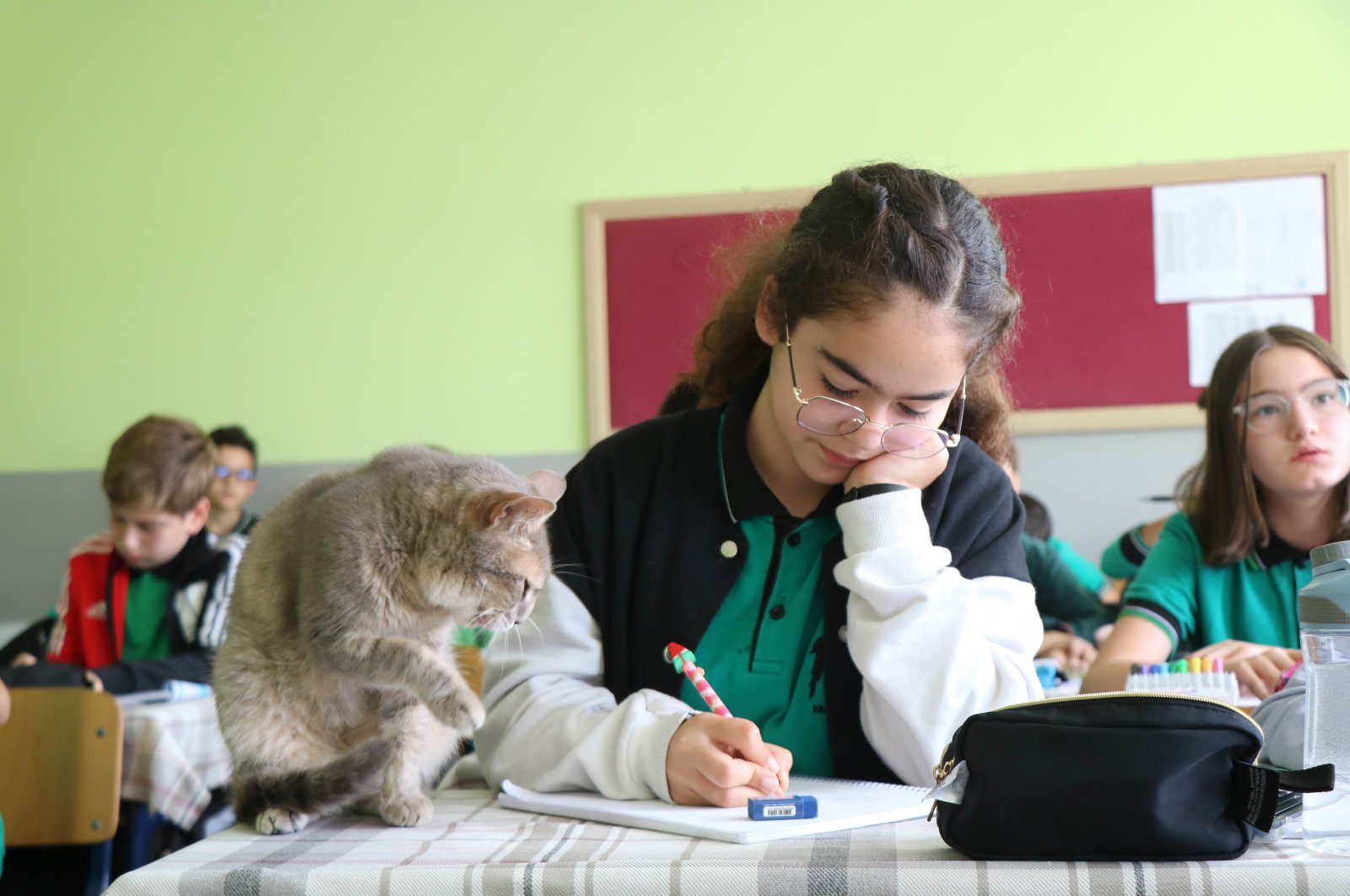 A student attends a class with a cat, Türkiye, Oct. 4, 2023. (DHA Photo)