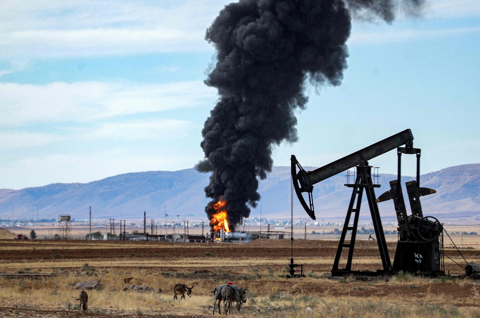 Donkeys graze near an oil derrick close to a fire raging at a facility in al-Qahtaniyah in northeastern Syria close to the Turkish border on Oct. 5, 2023. (AFP Photo)