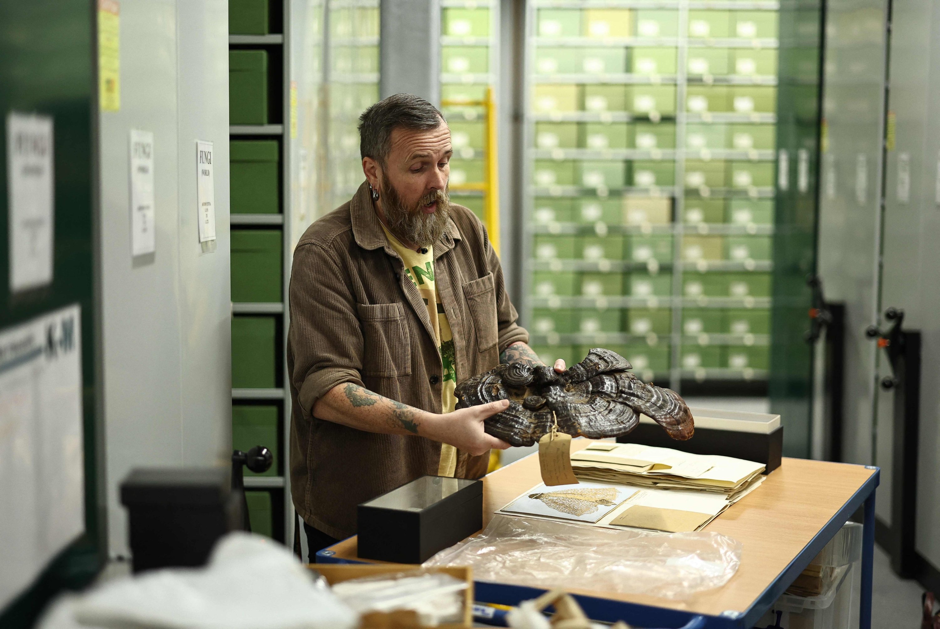 Research leader Laura Martinez-Sun looks at a fungus sample stored within the Fungarium at the Royal Botanic Gardens in Kew, London, U.K., Oct. 6, 2023. (AFP Photo)