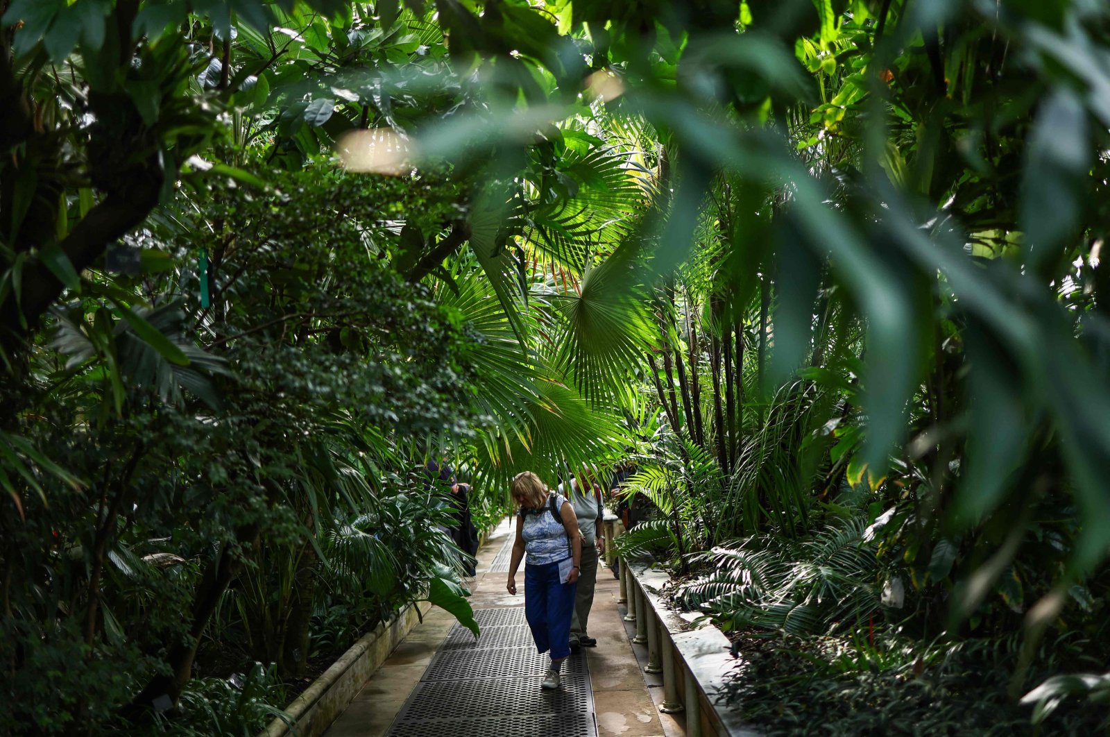 Visitors walk among the plants inside The Palm House at the Royal Botanic Gardens in Kew, London, U.K., Oct. 6, 2023. (AFP Photo)