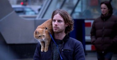 A still shot taken from “A Street Cat Named Bob.” 
