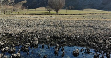 A view of microbialites in Lake Van that emerged from the bottom due to the decline in water levels, in Van, eastern Türkiye, Jan. 3, 2023. (IHA Photo)