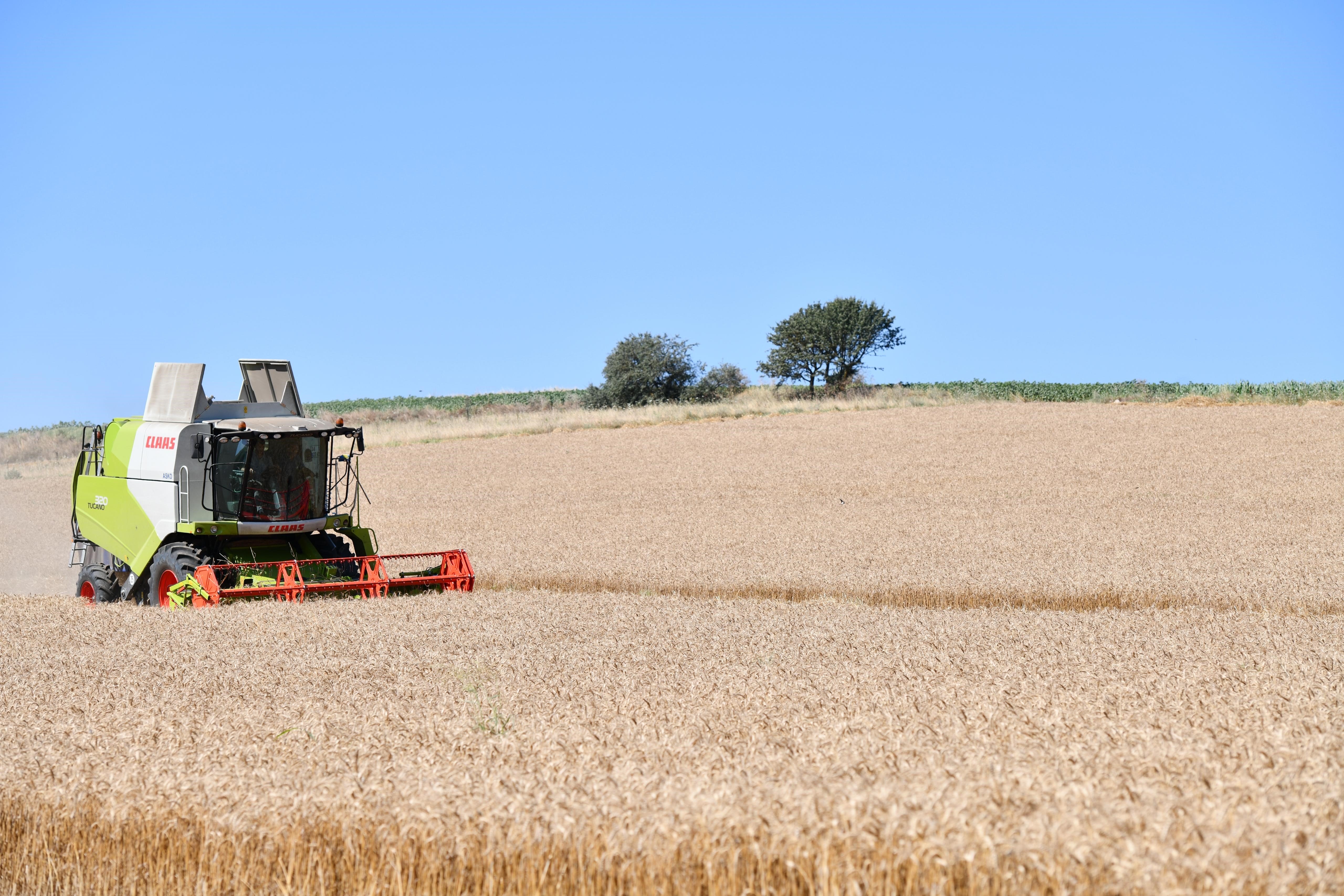 Empty lands being utilized by planting wheat, Balıkesir, Türkiye, Oct. 18, 2023. (IHA Photo)