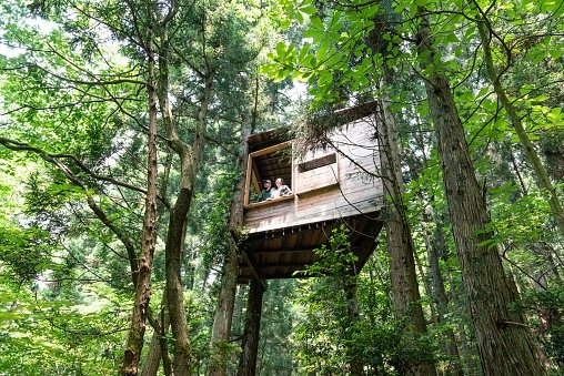 A couple looks out from the window of a tree house in the forest. (Getty Images Photo)