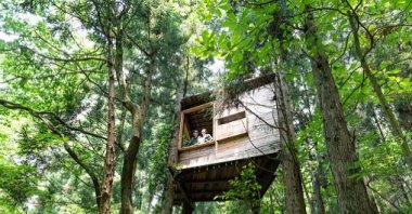 A couple looks out from the window of a tree house in the forest. (Getty Images Photo)