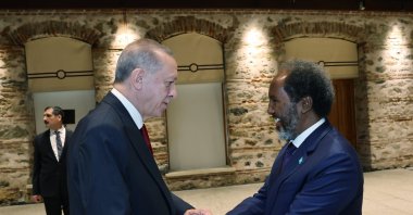 President Recep Tayyip Erdoğan shakes hands with Somalia&#039;s President Hassan Sheikh Mohamud as they meet in Istanbul, Türkiye, Oct. 27, 2023. (AA Photo)