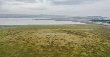 An aerial view taken by drone shows the drought-hit Lake Büyükçekmece in Istanbul, Türkiye, Nov. 5, 2023. (AA Photo)
