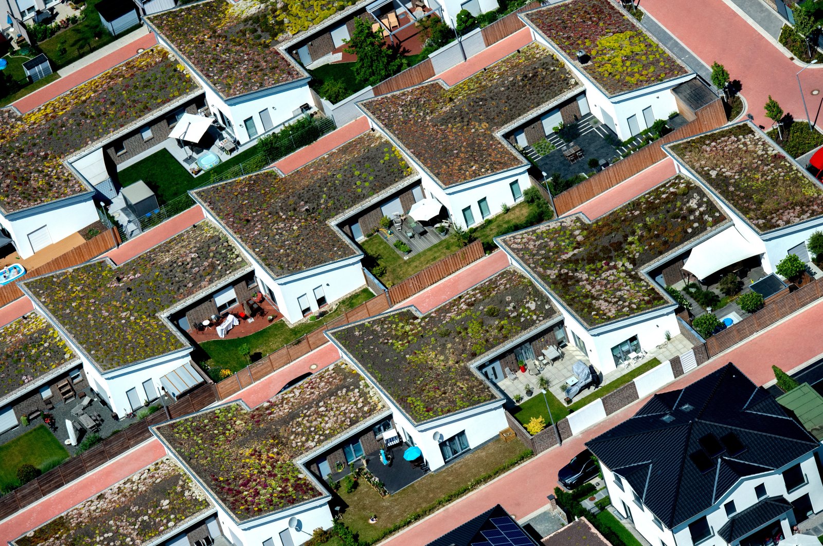 Green roofs for terraced houses. Even if it&#039;s not done during construction, homeowners can still do this later. (dpa Photo)