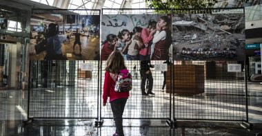 A visitor examines a photo at the exhibition, Ankara, Türkiye, Oct. 22, 2020. (AA Photo)