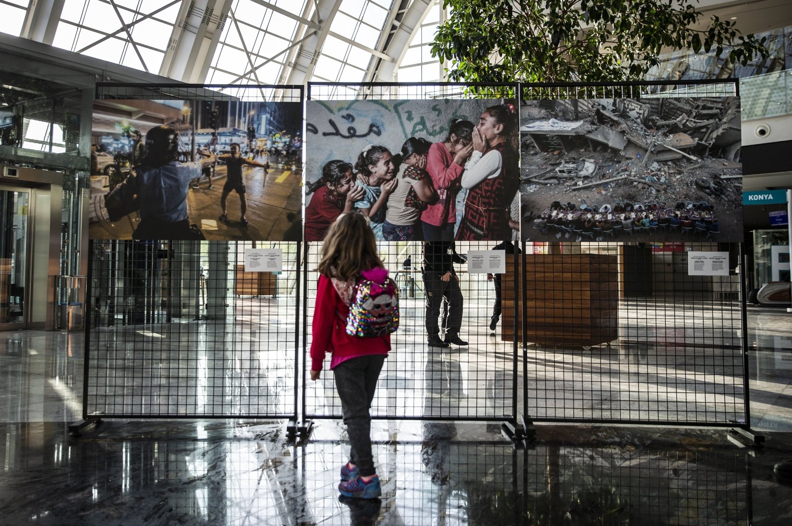 A visitor examines a photo at the exhibition, Ankara, Türkiye, Oct. 22, 2020. (AA Photo)