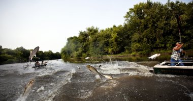 Contestants hang onto the side of their boats with nets extended, hoping to catch flying Asian Carp at the Redneck Fishing contest, Illinois, U.S., Aug. 7, 2010. (Getty Images Photo)
