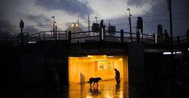 A man shelters against the snow while passing next to a stray dog inside an underway passage in Istanbul, Türkiye, March 18, 2022. (AP Photo)