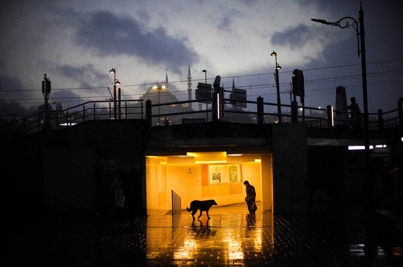 A man shelters against the snow while passing next to a stray dog inside an underway passage in Istanbul, Türkiye, March 18, 2022. (AP Photo)