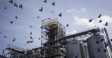 Birds fly around a grain handling and storage facility in central Ukraine, Nov. 10, 2023. (AP Photo)