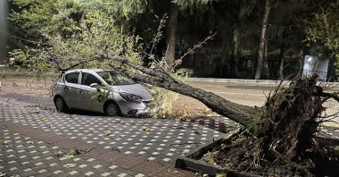 A tree knocked over by the strong wind rests on a car due to the southwester in Bursa, Türkiye, Nov. 29, 2023. (AA Photo)