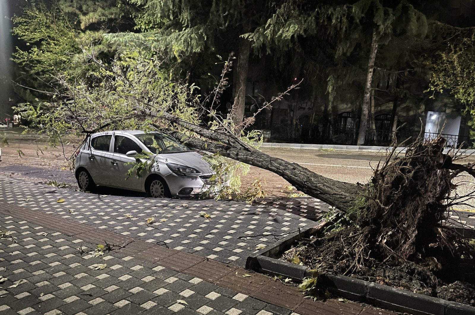 A tree knocked over by the strong wind rests on a car due to the southwester in Bursa, Türkiye, Nov. 29, 2023. (AA Photo)