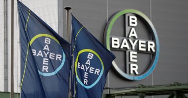The logo and flags of Bayer AG are pictured outside a plant of the German pharmaceutical and chemical maker in Wuppertal, Germany, Aug. 9, 2019. (Reuters Photo)