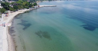 The Marmara Sea's water temperature surged by 2.5 degrees Celsius (4.5 degrees Fahrenheit), Tekirdağ, Türkiye, Dec. 4, 2023. (DHA Photo)
