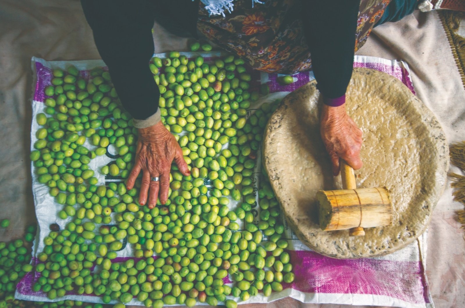 Türkiye's cultural heritage olive cultivation protected by UNESCO - Vimarsana News