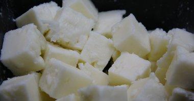 Ezine cheese, made from the milk of sheep, goats and cows grazing on the slopes of Mount Ida in terms of geographical location, became the first cheese from Türkiye to receive a geographical indication registration from the EU, Çanakkale, Türkiye, Dec. 7, 2023. (IHA Photo)