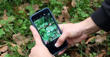 Nature lovers participating in the &quot;Count Species&quot; recorded new flora and fauna species, Ormanya, Türkiye, Dec. 10, 2023. (IHA Photo)