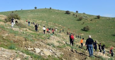 Pine and acacia trees planted to establish shaded areas for grazing animals within the pasture and to mitigate erosion, Aydın, Türkiye, Dec. 11, 2023. (IHA Photo)
