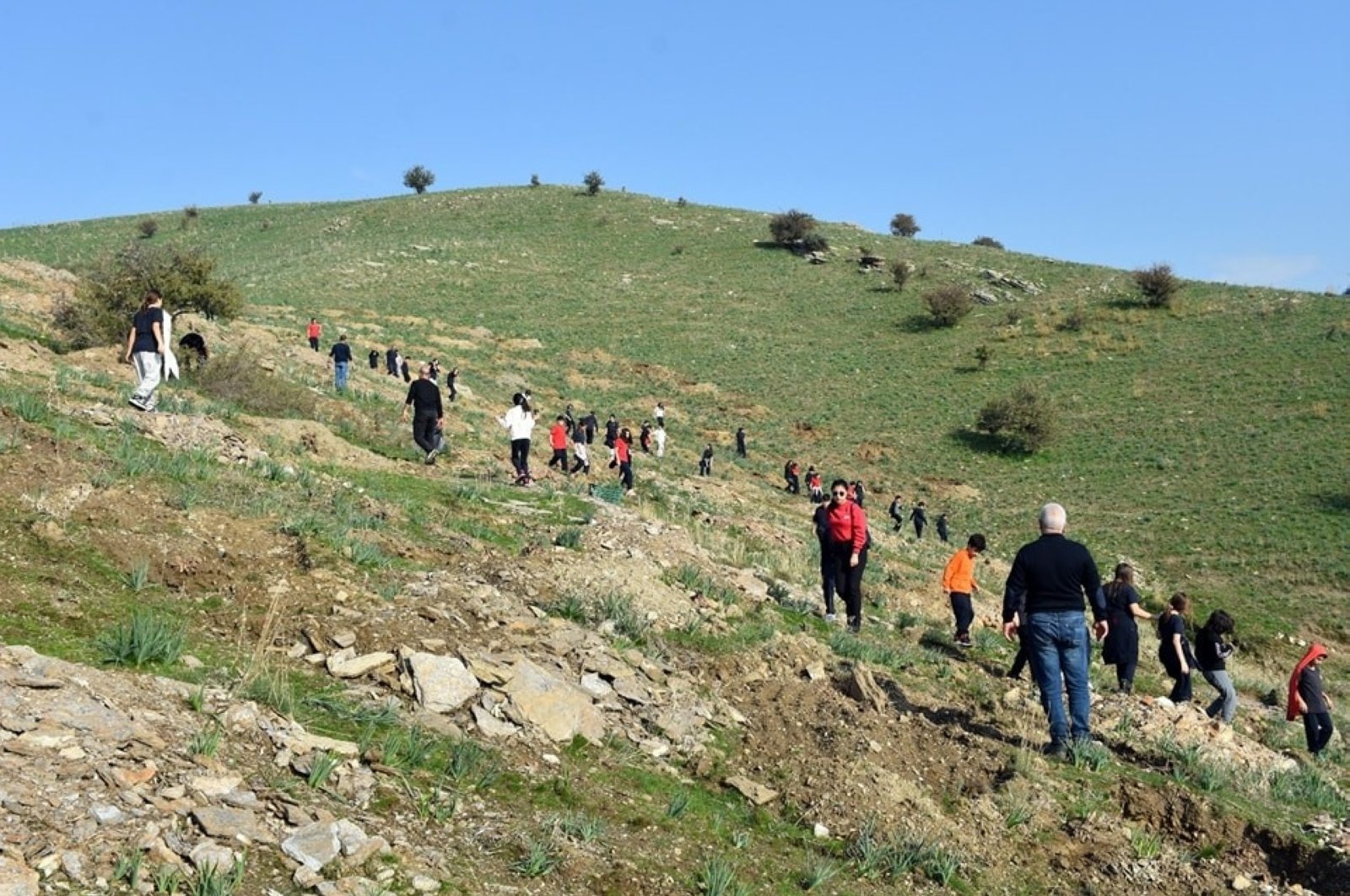 Expert stresses action amid rising desertification threat in Türkiye