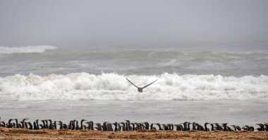 A photograph from Sara Rodrik's "Desert Hours-Namibia." (Photo courtesy of G-Allery Rooms)