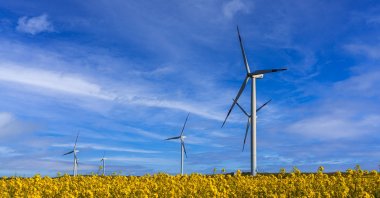 The Türkiye Green Fund (TGF) is set to provide green financing to businesses and promote investment in green technologies. (Getty Images Photo)