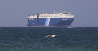 A bird flies past the Galaxy Leader cargo ship, seized by the Houthis offshore of the Al-Salif port on the Red Sea in the province of Hodeidah, Yemen, Dec. 5, 2023. (EPA Photo)
