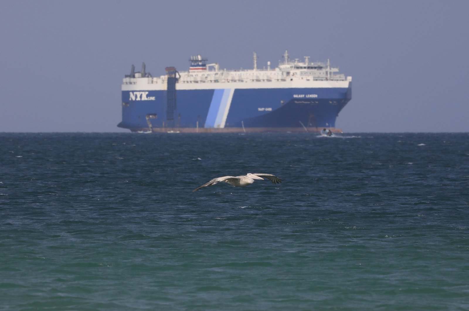 A bird flies past the Galaxy Leader cargo ship, seized by the Houthis offshore of the Al-Salif port on the Red Sea in the province of Hodeidah, Yemen, Dec. 5, 2023. (EPA Photo)