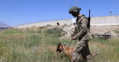 A border guard and a dog patrol near the security wall along the Turkish border to Iran, eastern Ağrı province, Türkiye, Aug. 3, 2023. (AA Photo)